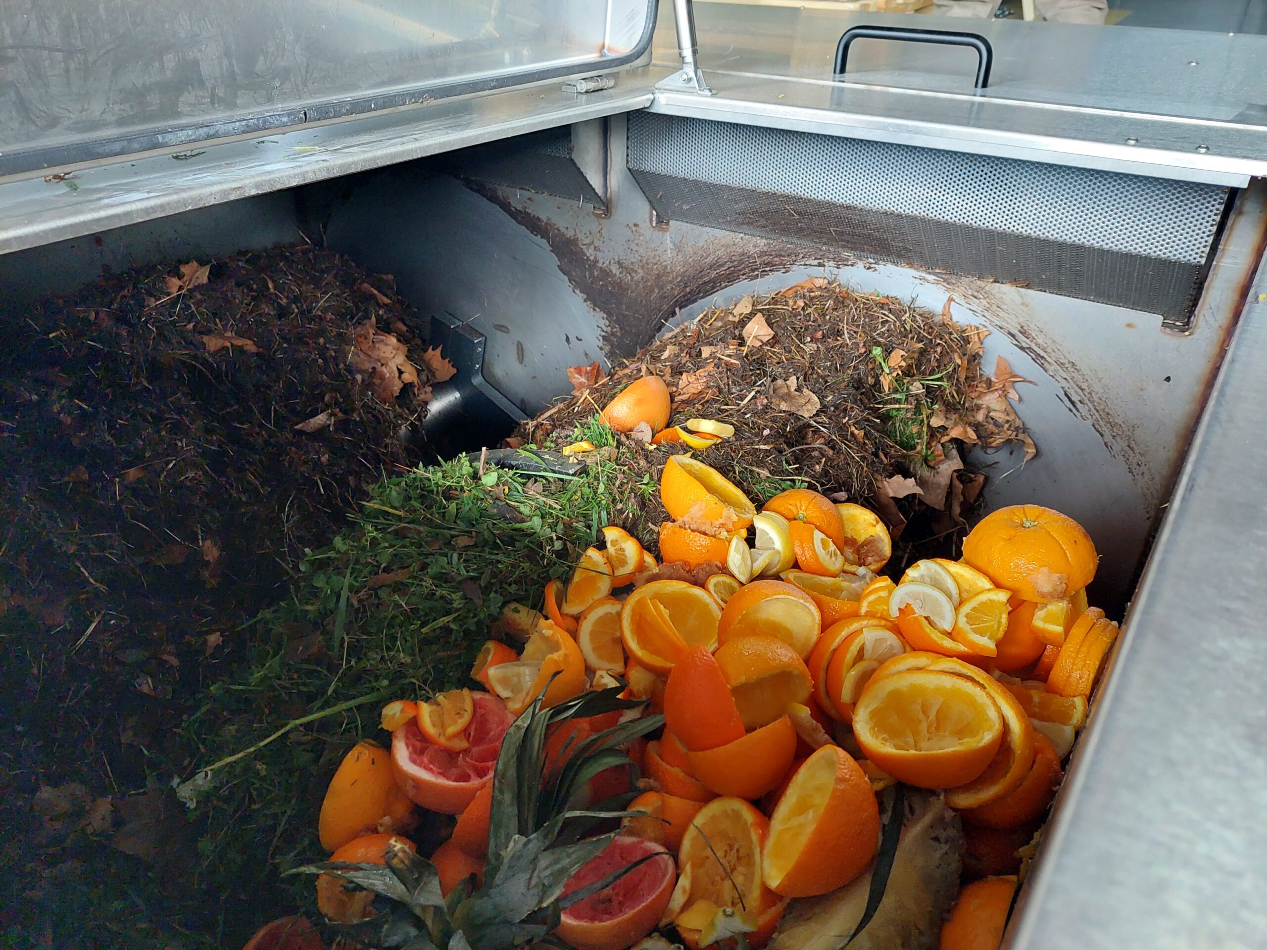Reducing biowaste by turning it into energy