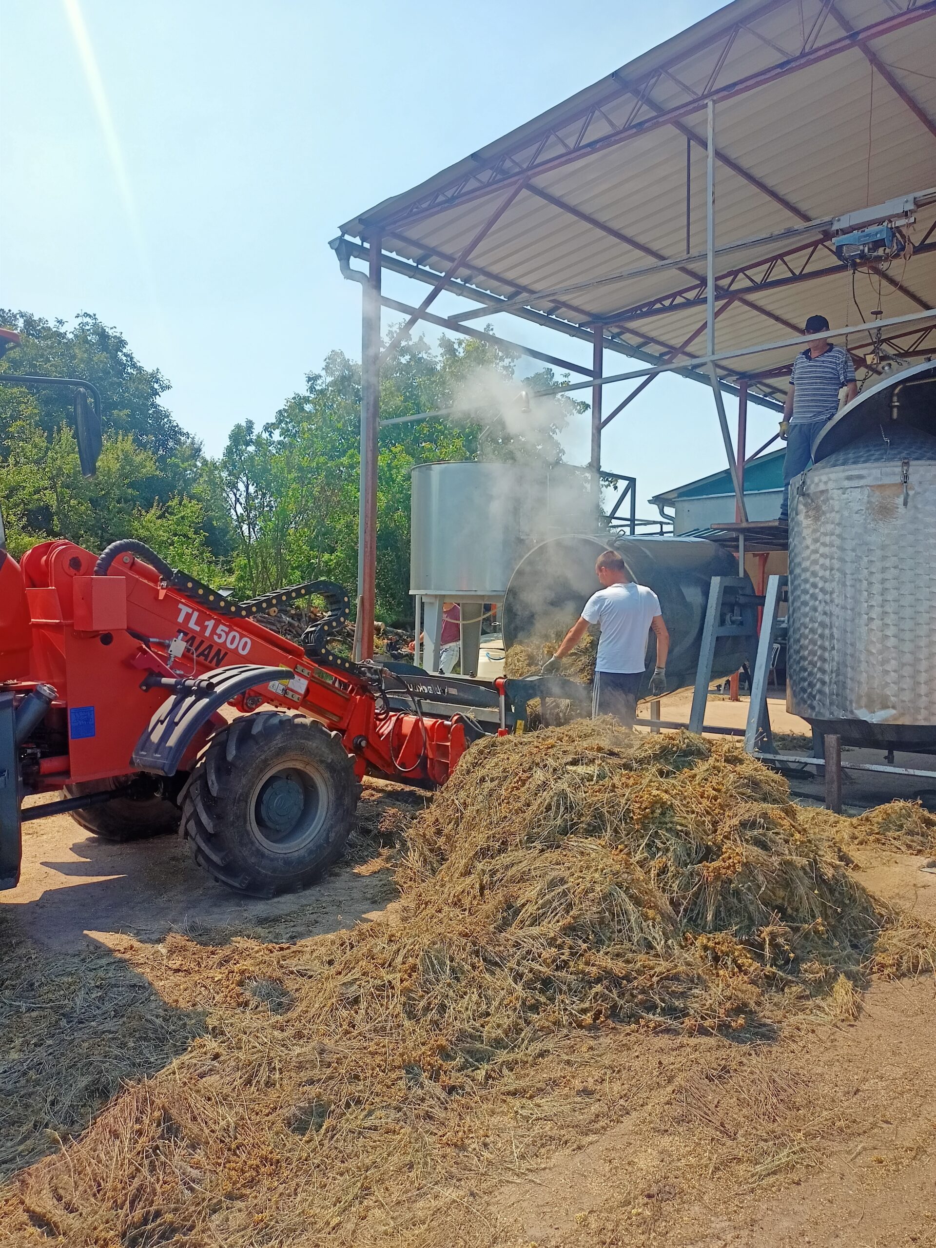 The use of corn waste to obtain insulation material in construction