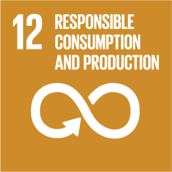 Workshop on the sustainable development goals of the 2030 Agenda