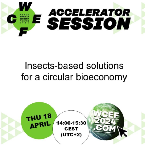 World Circular Economy Forum 2024
